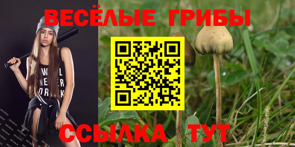наркошоп  Галлюциногенные грибы Magic Shrooms  Вход с VPN  Октябрьский  Галлюциногенные грибы MAGIC MUSHROOMS 